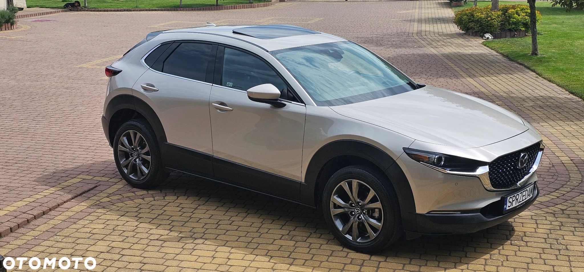 Mazda CX-30 ver-e--skyactive-x-186-skyactiv--drive-exclusive--line - 5