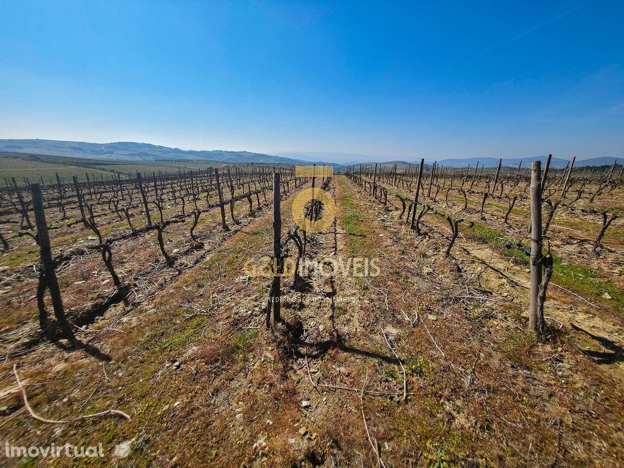 Quinta  Venda em Alijó,Alijó - Grande imagem: 2/16