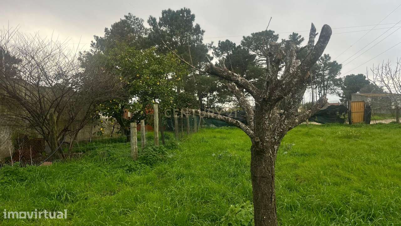 Terreno Rústico – Parcela de 1.200 m² em Pinhal das Formas - Quinta do - Grande imagem: 4/8