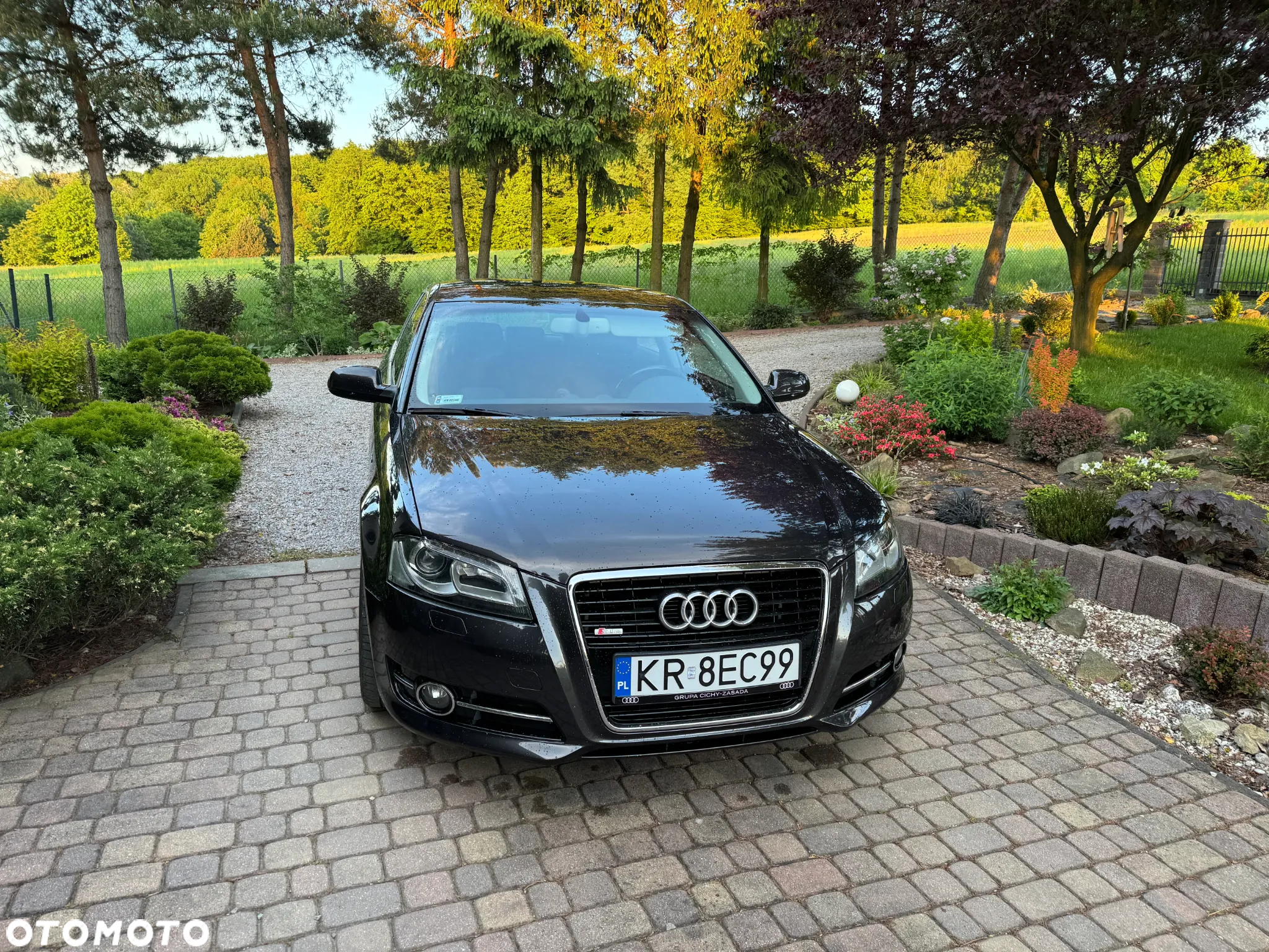 Audi A3 2.0 TDI Ambition - 5