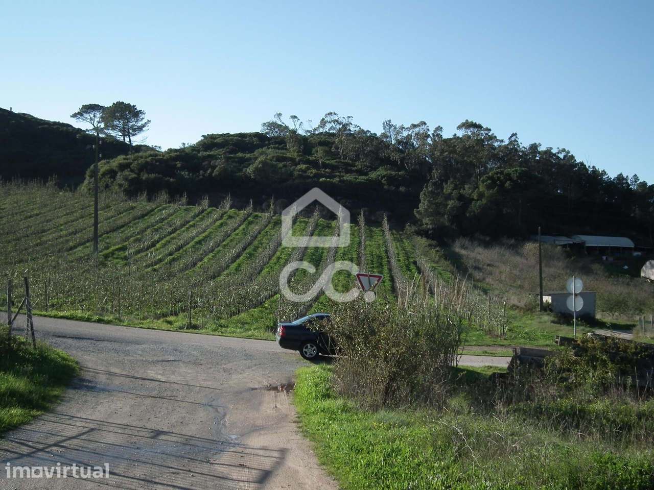 Terreno Rústico com 1240 m² - Grande imagem: 4/16