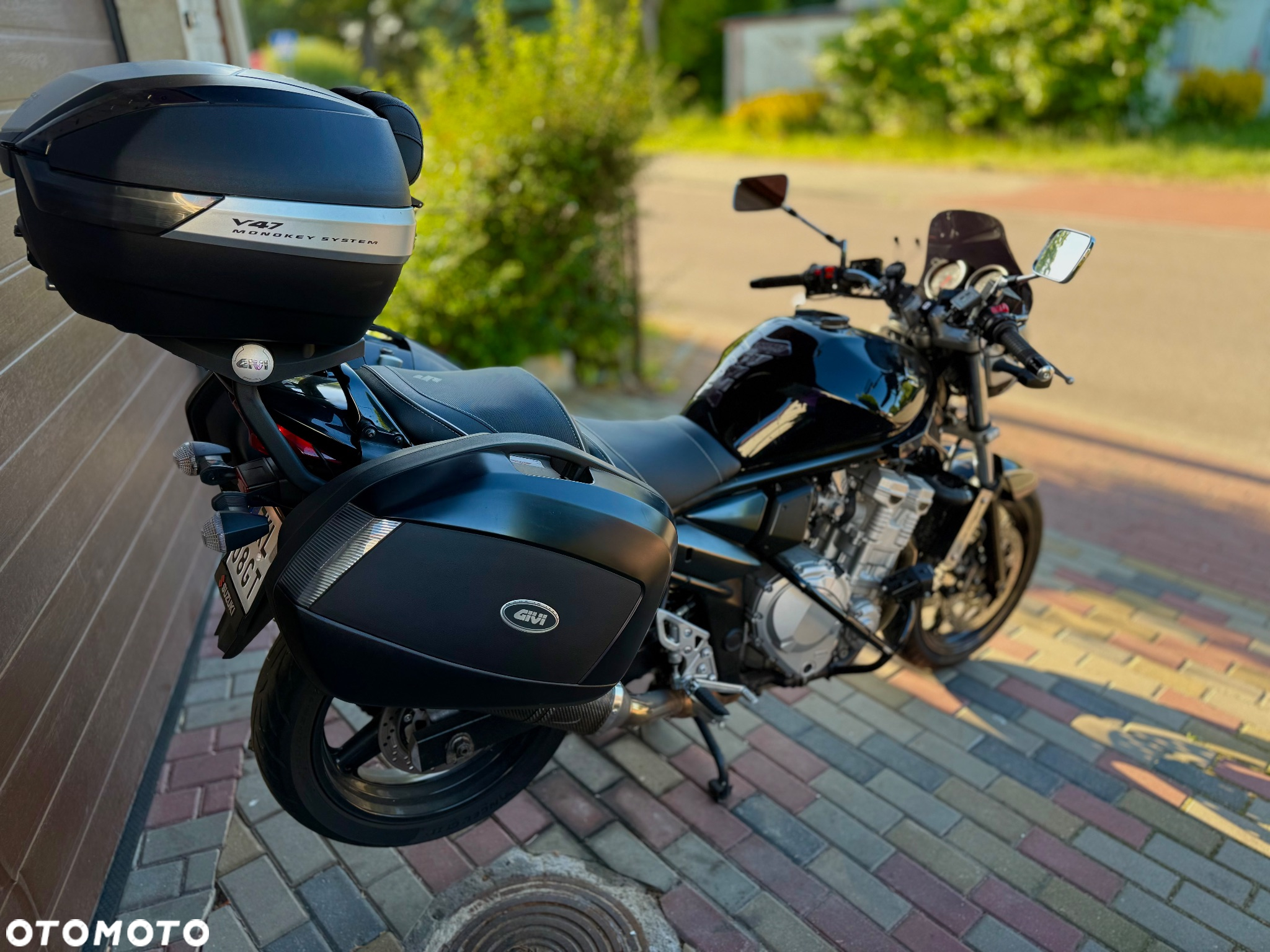 Suzuki Bandit - 3