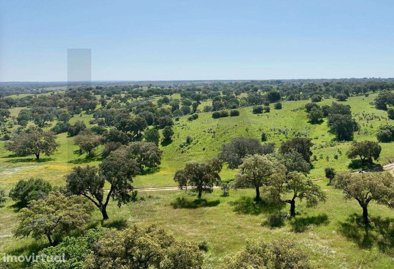 Refúgio Ideal no Alentejo: Investimento único com Potencial Agrícola e - Grande imagem: 5/13