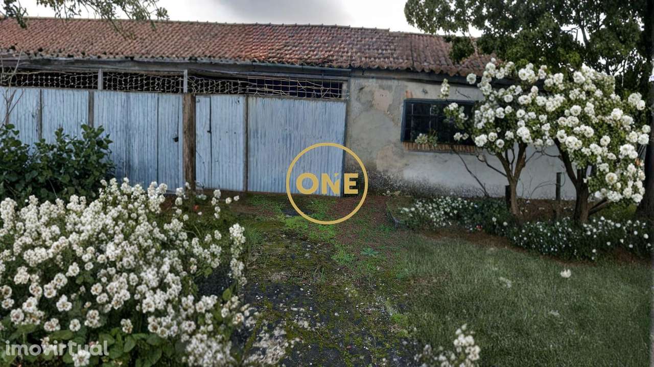 Quinta com 5120 m2 para recuperar em Valhelhas, Torres Novas - Grande imagem: 5/23