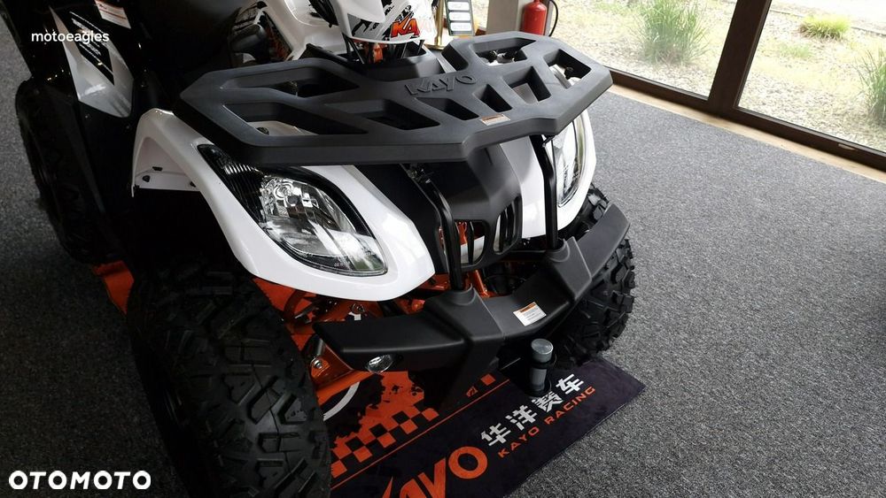 KAYO AU - 4