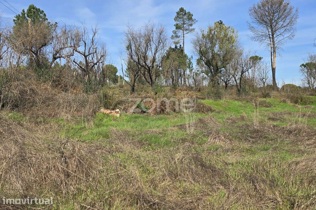 Terreno em Nelas para construção com projeto - Grande imagem: 5/26