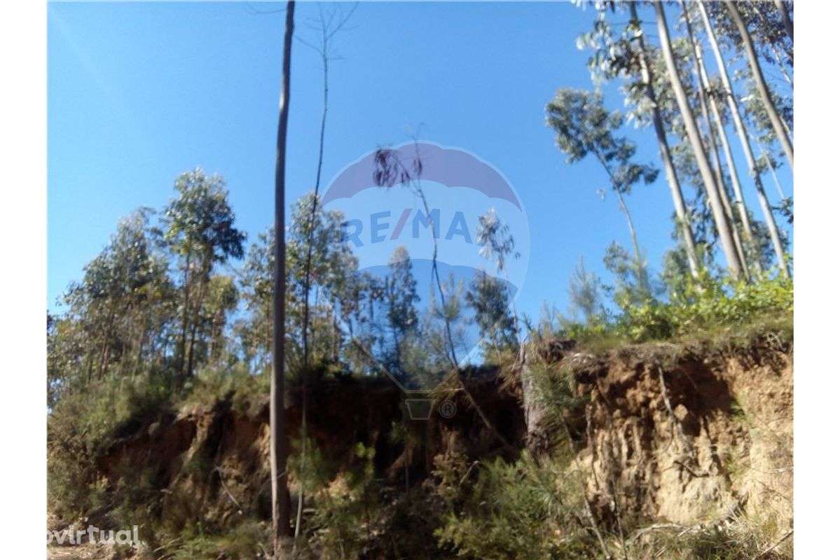 Terreno  para venda - Grande imagem: 2/7