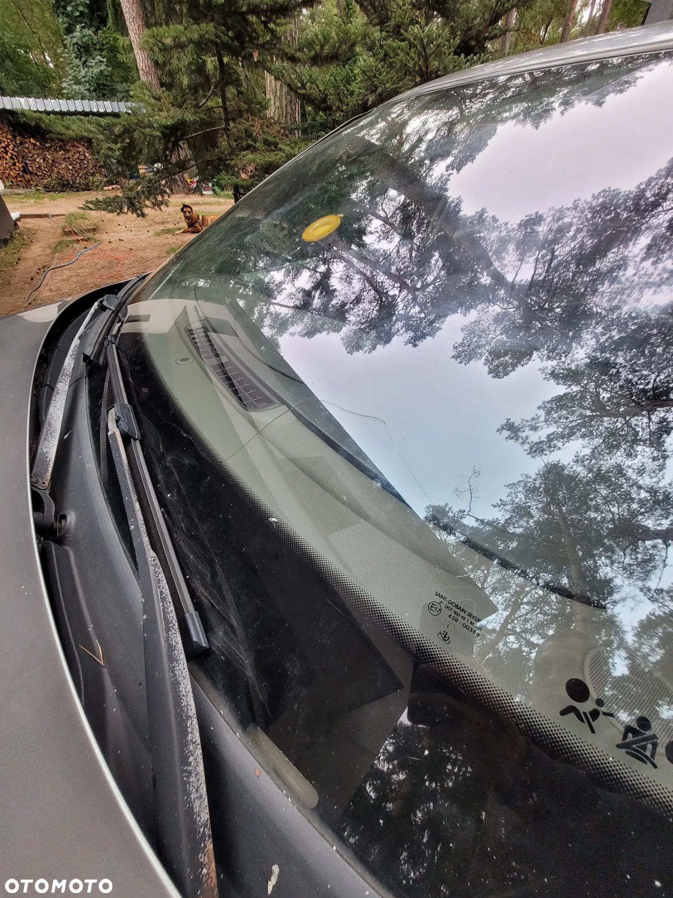 Renault Laguna - 11