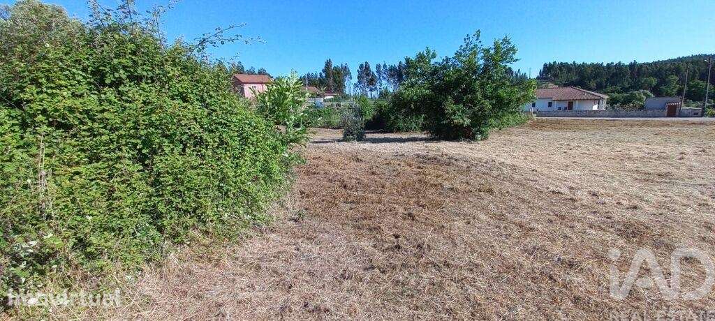 Terreno para construção em Graça - Grande imagem: 2/5