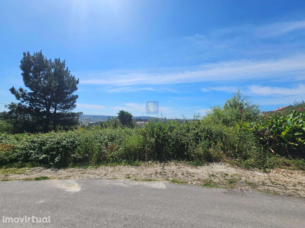 Conjunto de 7 Terrenos entre Alcobaça e Aljubarrota - Grande imagem: 5/10