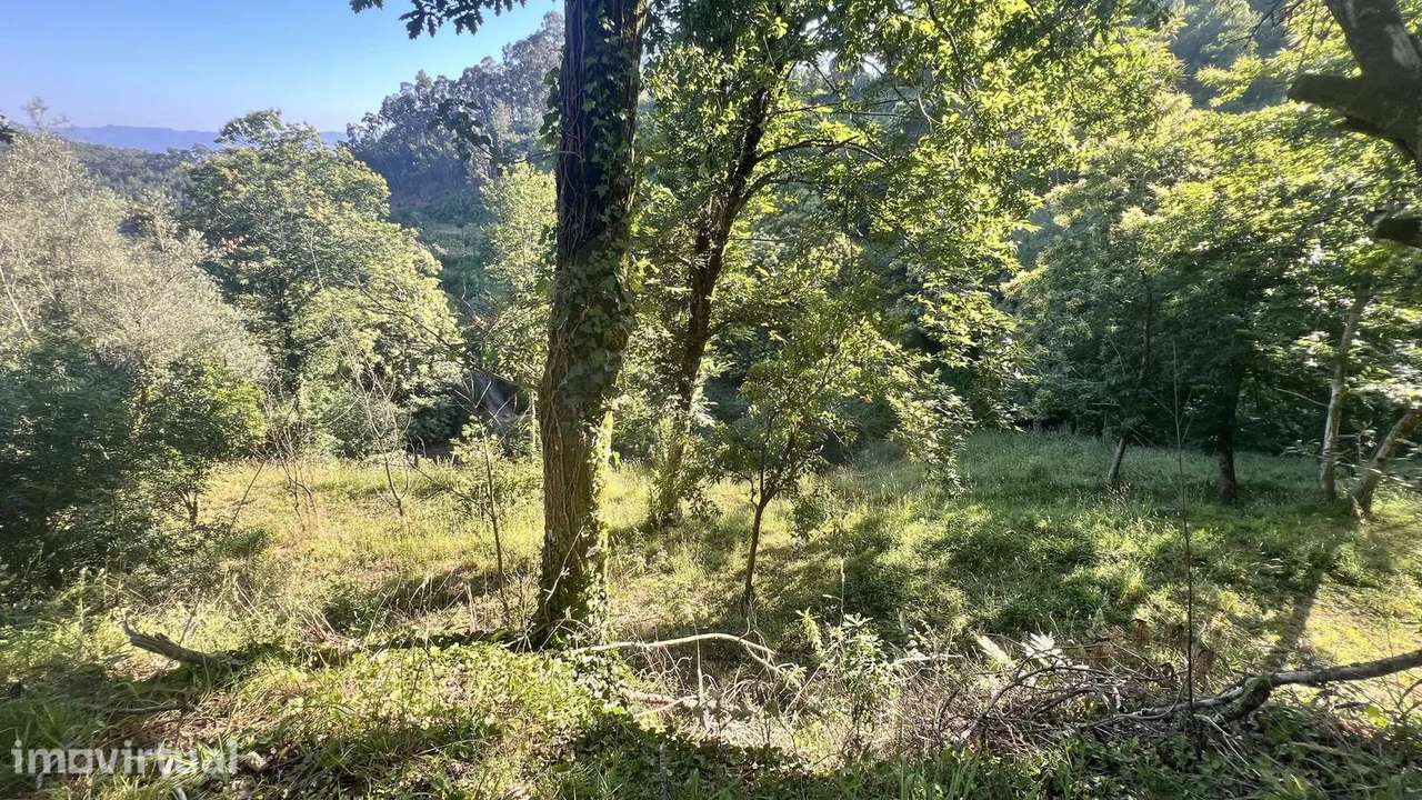Terreno Rustico em Seramil - Grande imagem: 5/7