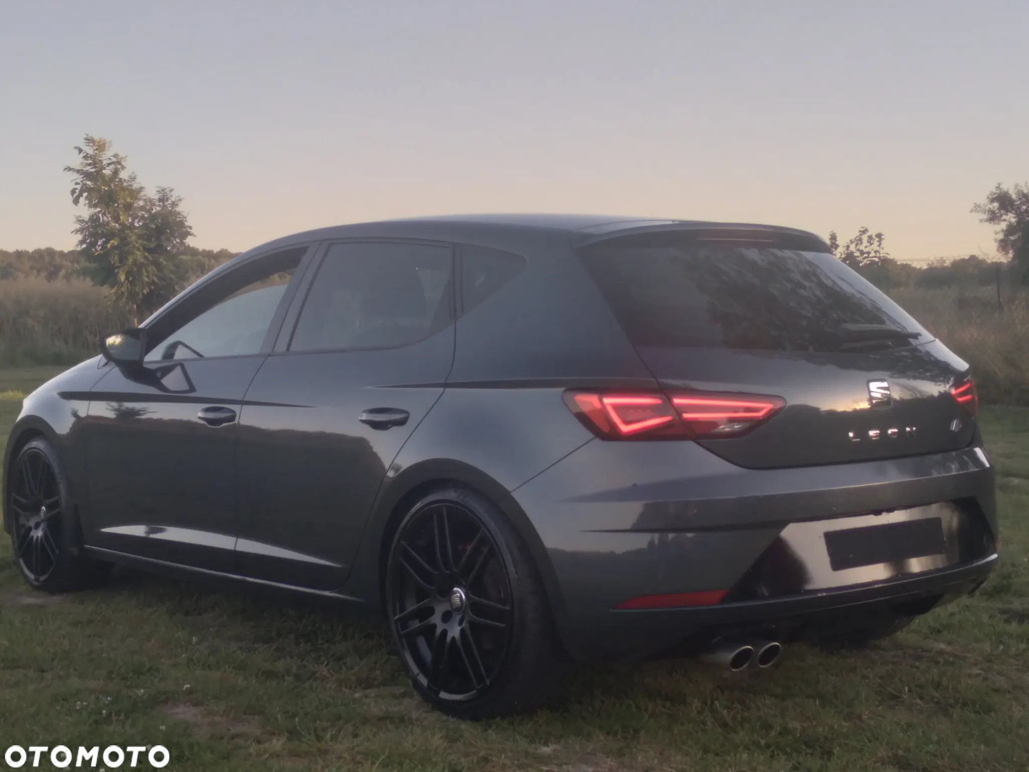 Seat Leon - 5