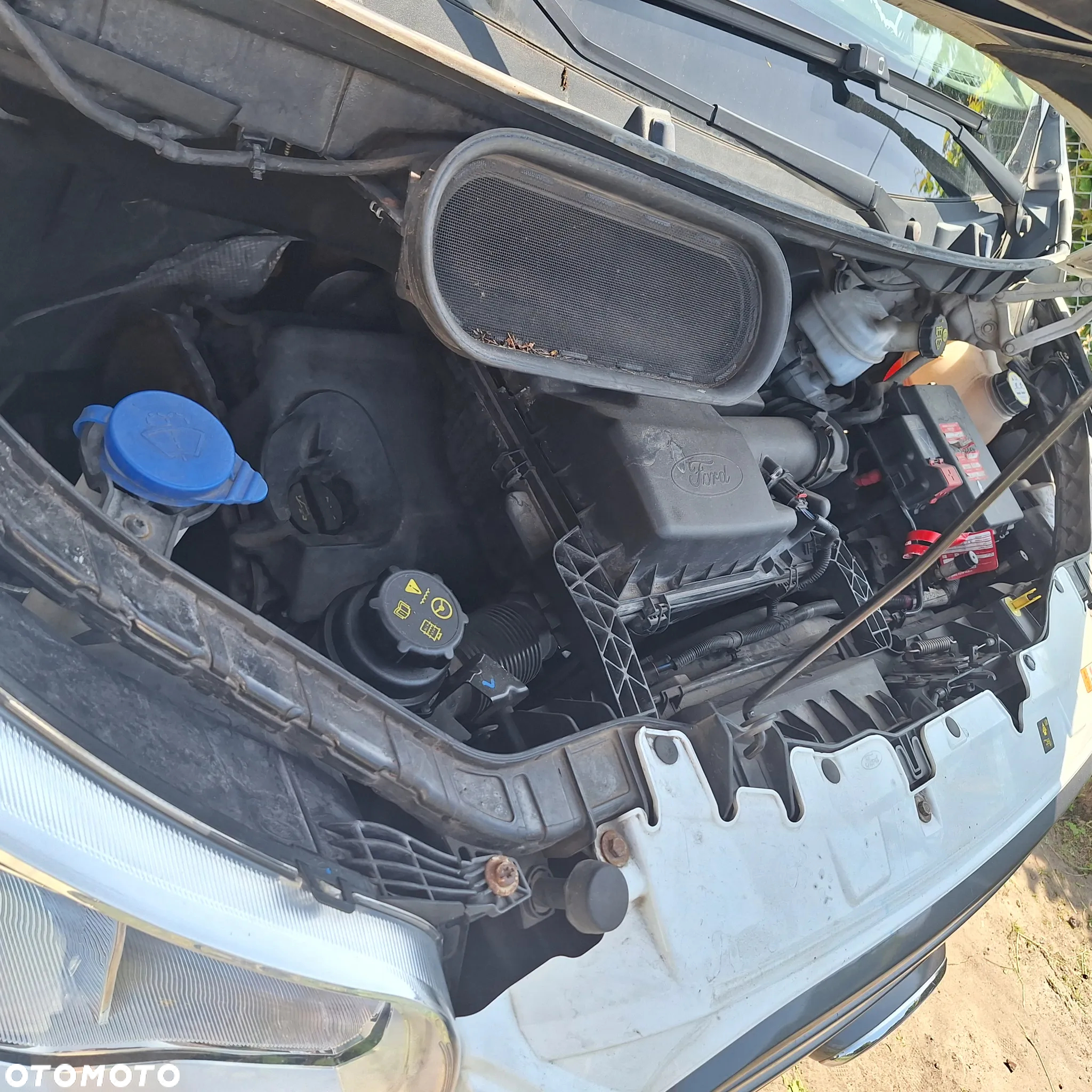 Ford Transit - 18