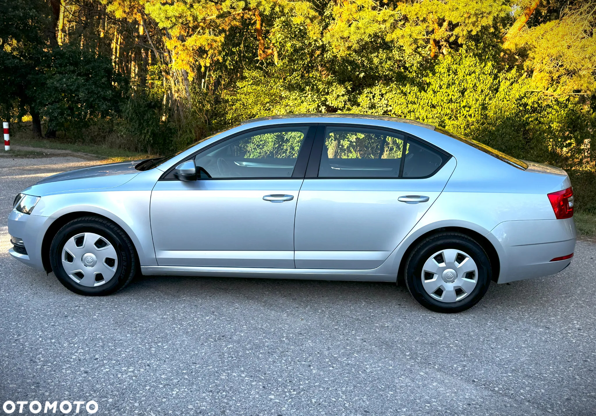 Skoda Octavia 1.6 TDI Active - 8
