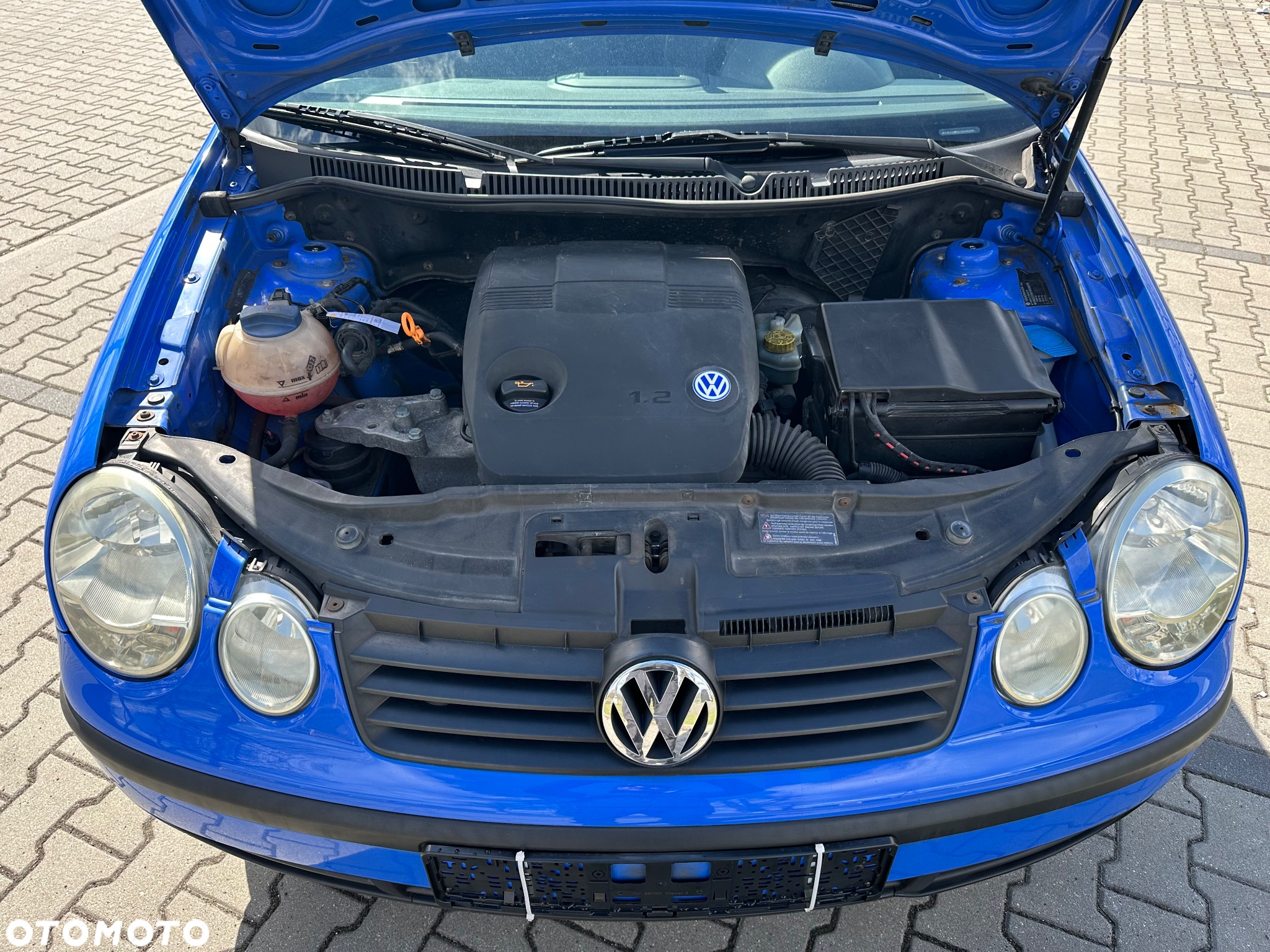 Volkswagen Polo - 15