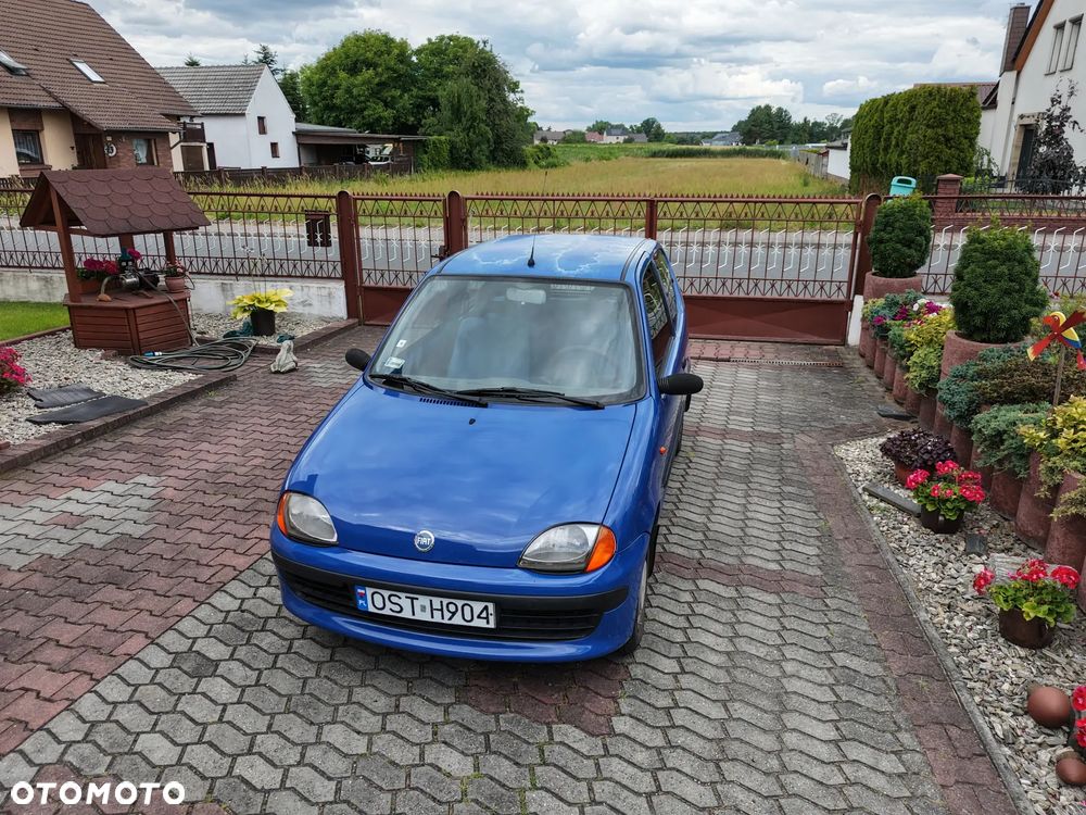 Fiat Seicento Fun / Olimpia - 5