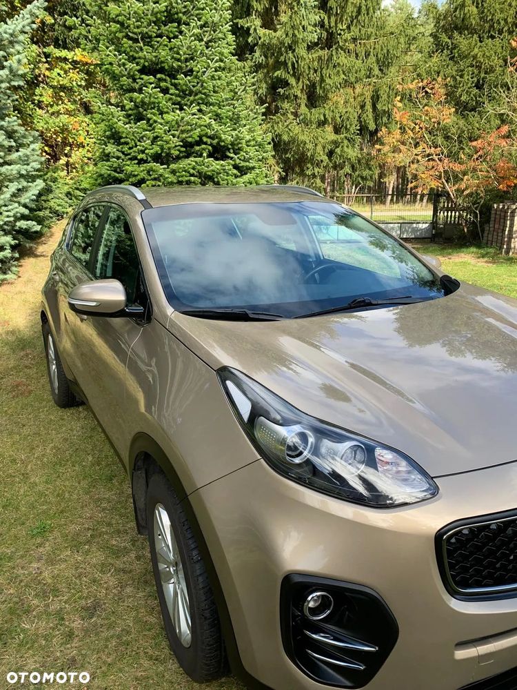 Kia Sportage - 1