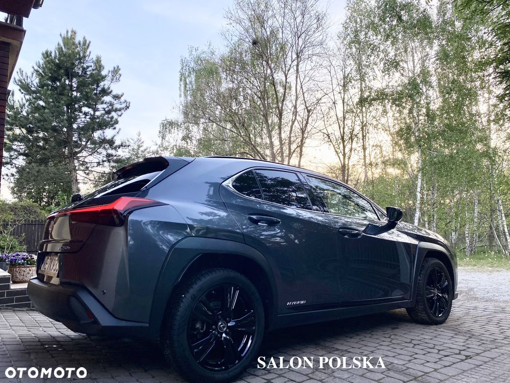 Lexus UX 250h GPF F Impression 2WD - 7