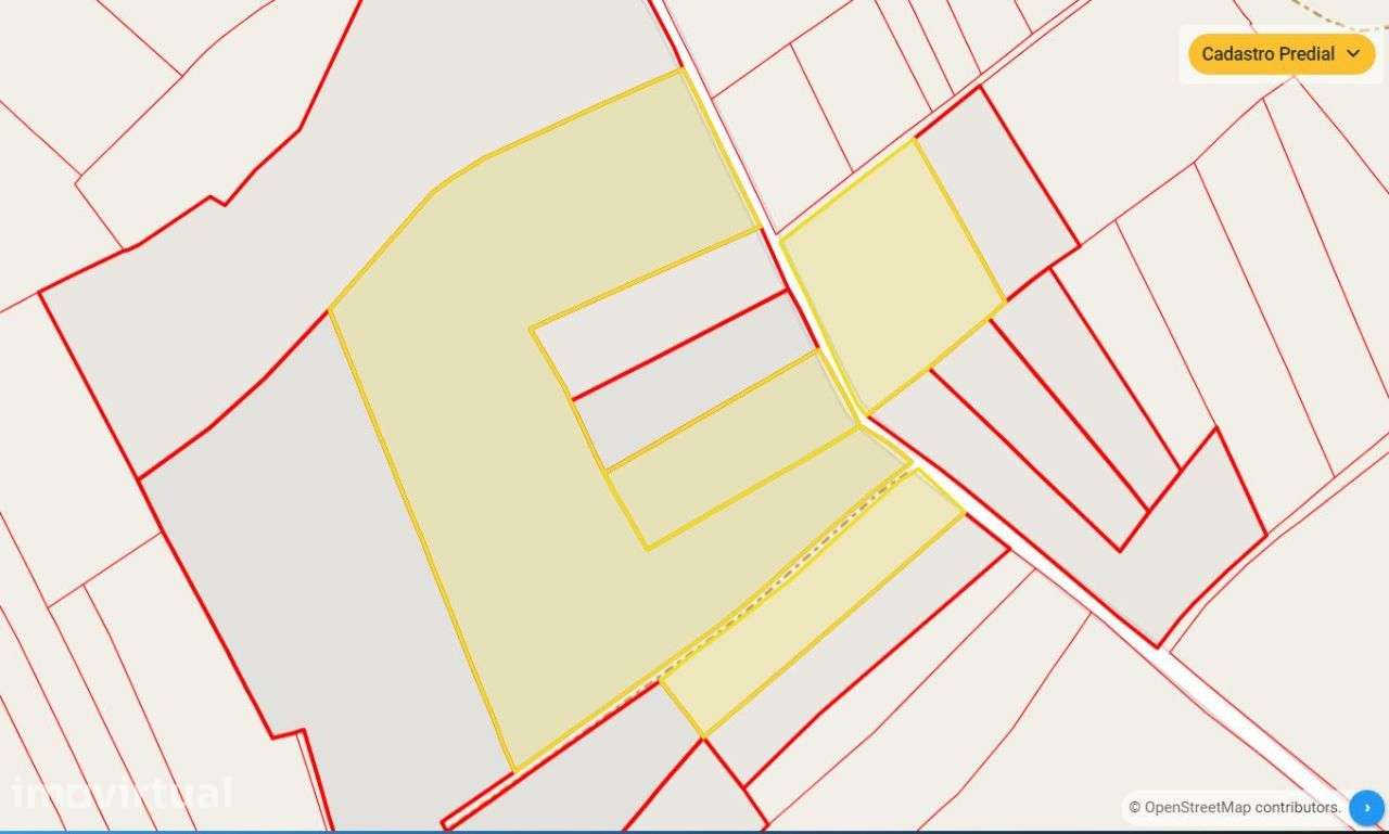 Quinta vitícola no Cartaxo - região DOC Tejo - Santarém - Grande imagem: 3/3