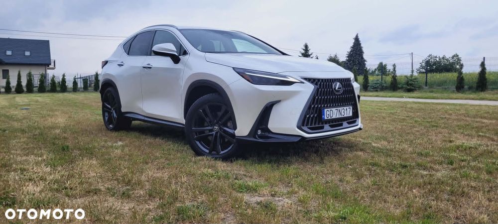 Lexus NX - 1