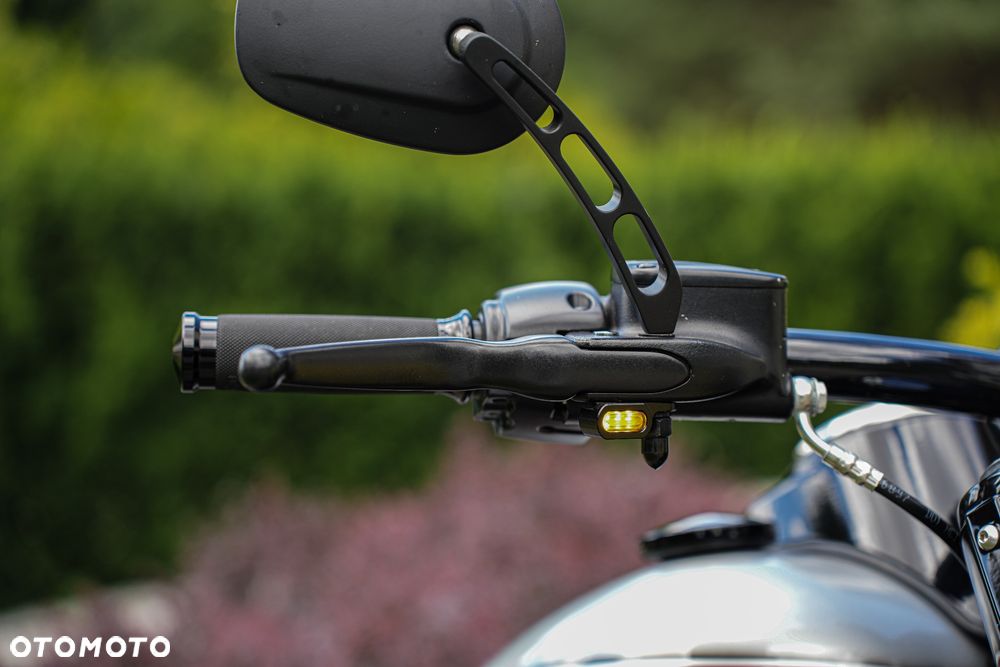 Harley-Davidson Softail - 13