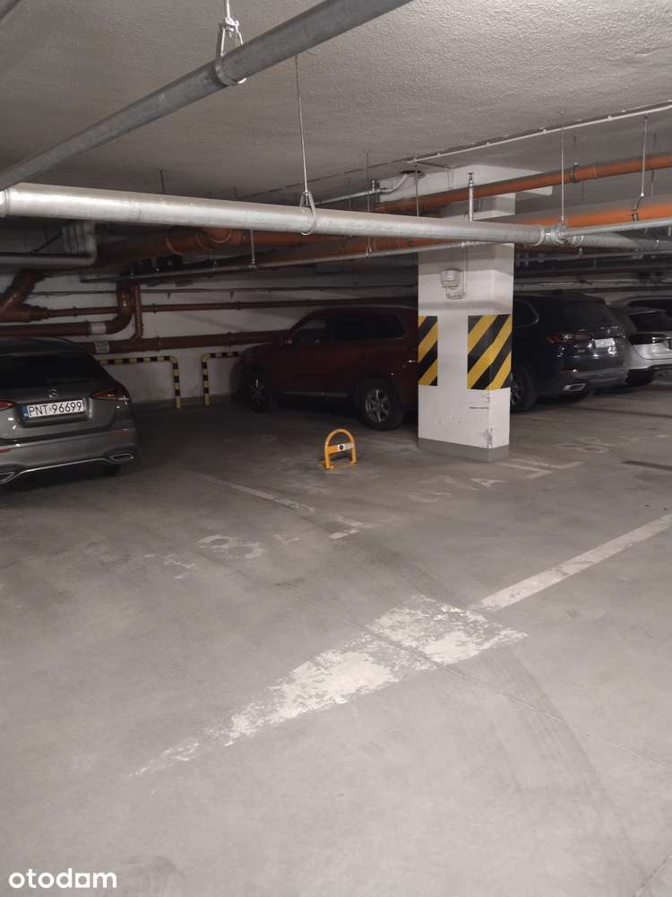 Centrum: Podwójne miejsce w hali - Pełny obrazek: 2/5