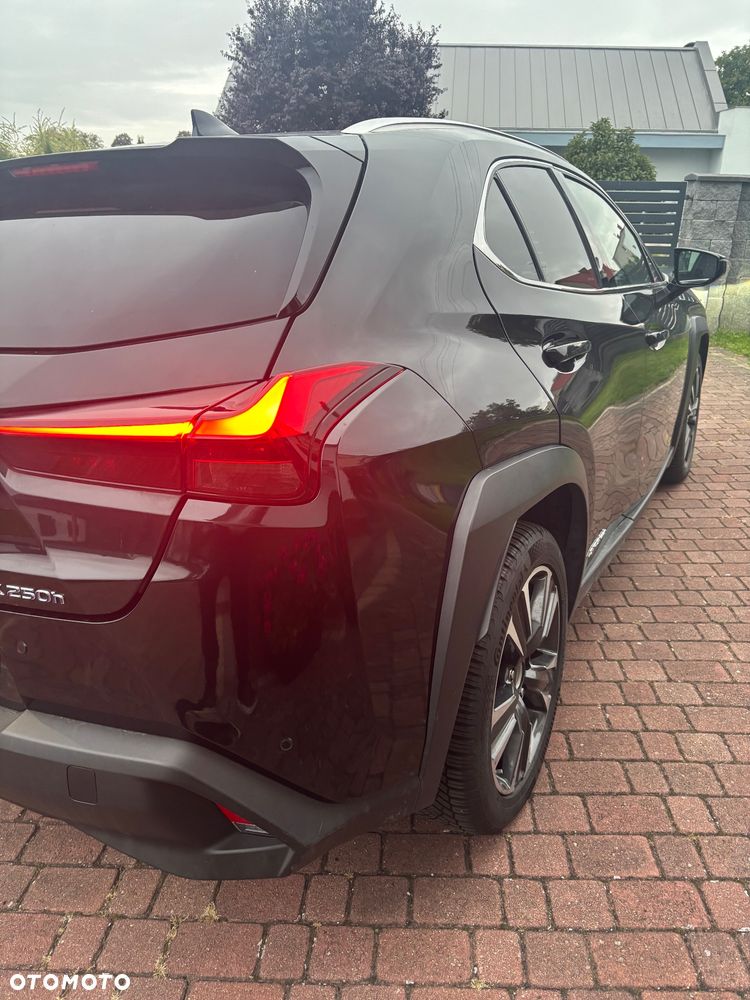 Lexus UX - 19