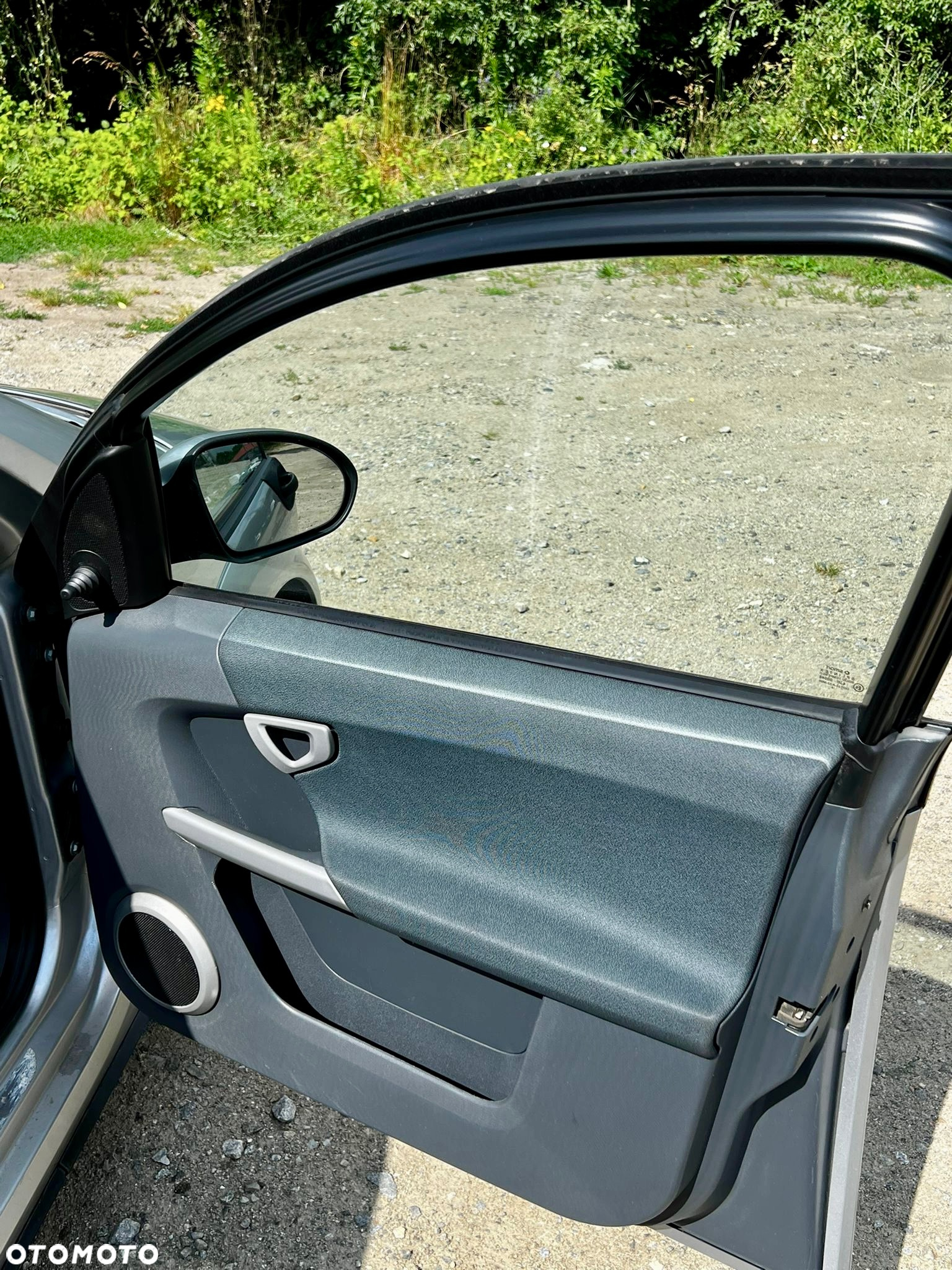 Smart Forfour - 13