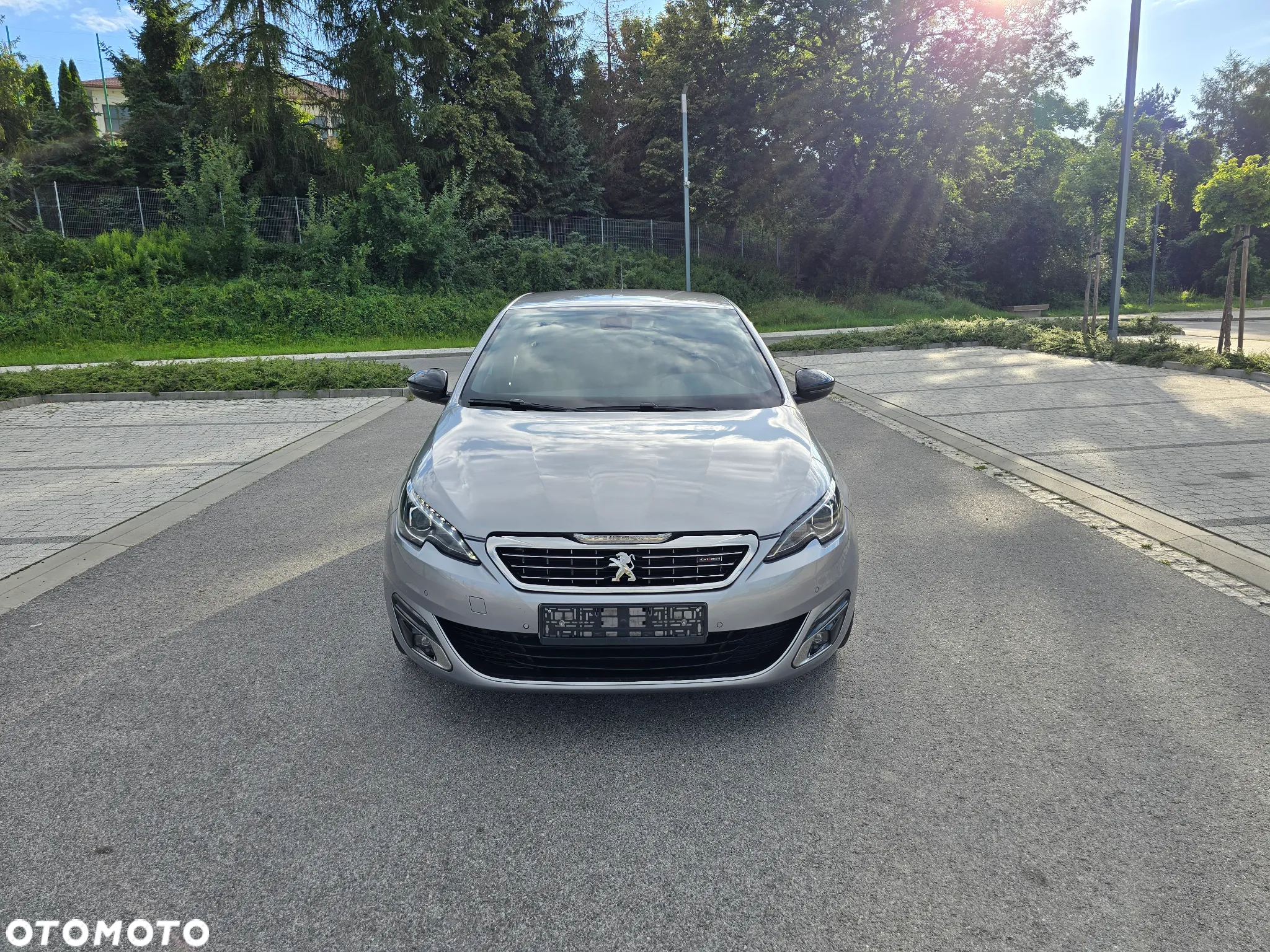 Peugeot 308 - 17