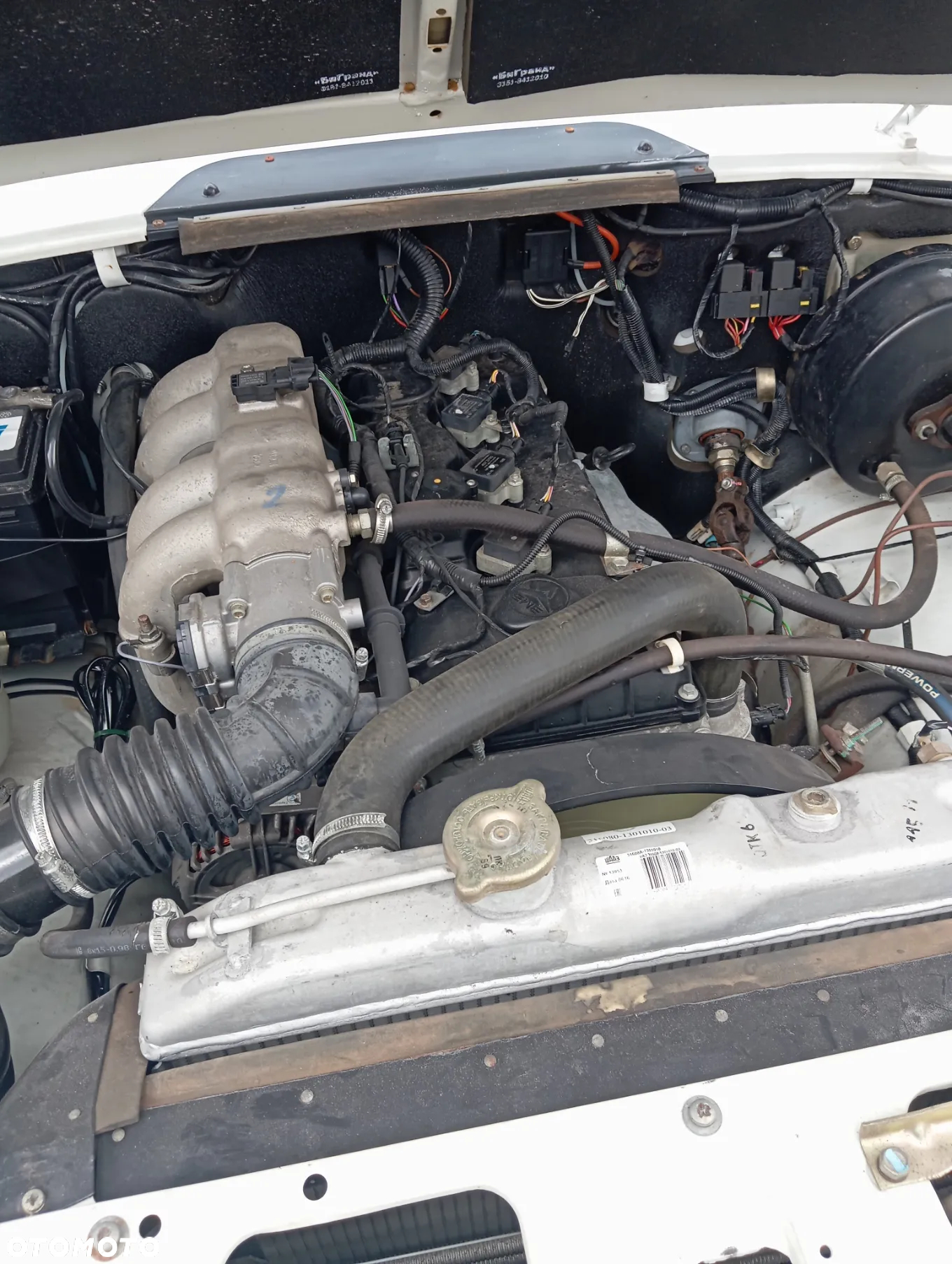 Uaz Inny - 6