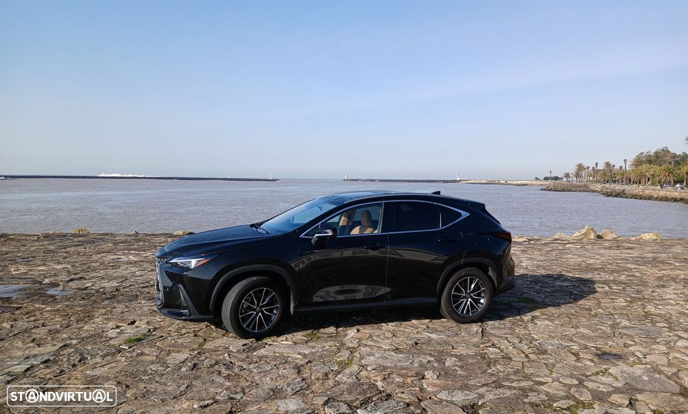 Lexus NX 450h+ - 1