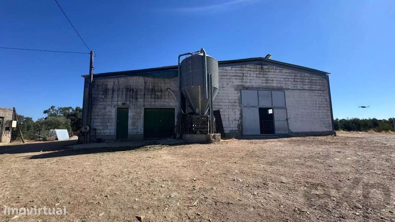 Quinta biológica de 44,8 ha com exploração agrícola ativa + potencial - Grande imagem: 2/60