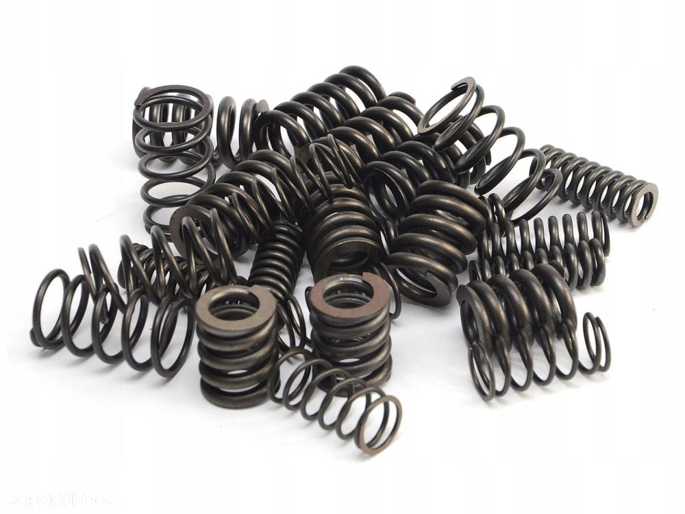 ZESTAW naprawczy SPRĘŻYNY TŁUMIKA DRGAŃ MPS6 6DCT450 - 4