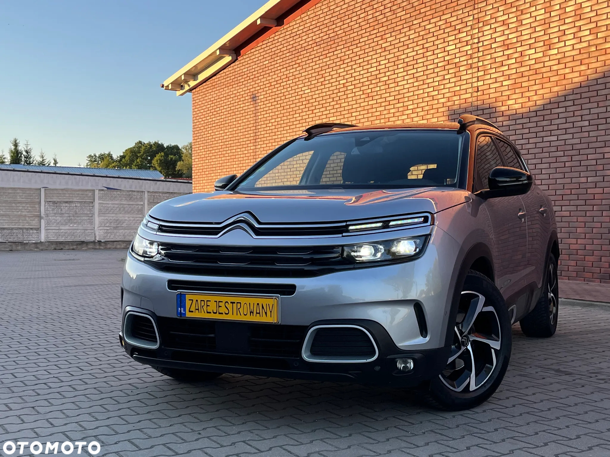 Citroën C5 Aircross 2.0 BlueHDi Shine EAT8 - 20