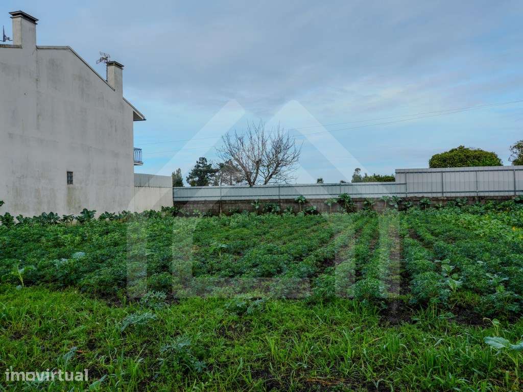 Terreno em Arazede - Grande imagem: 4/6