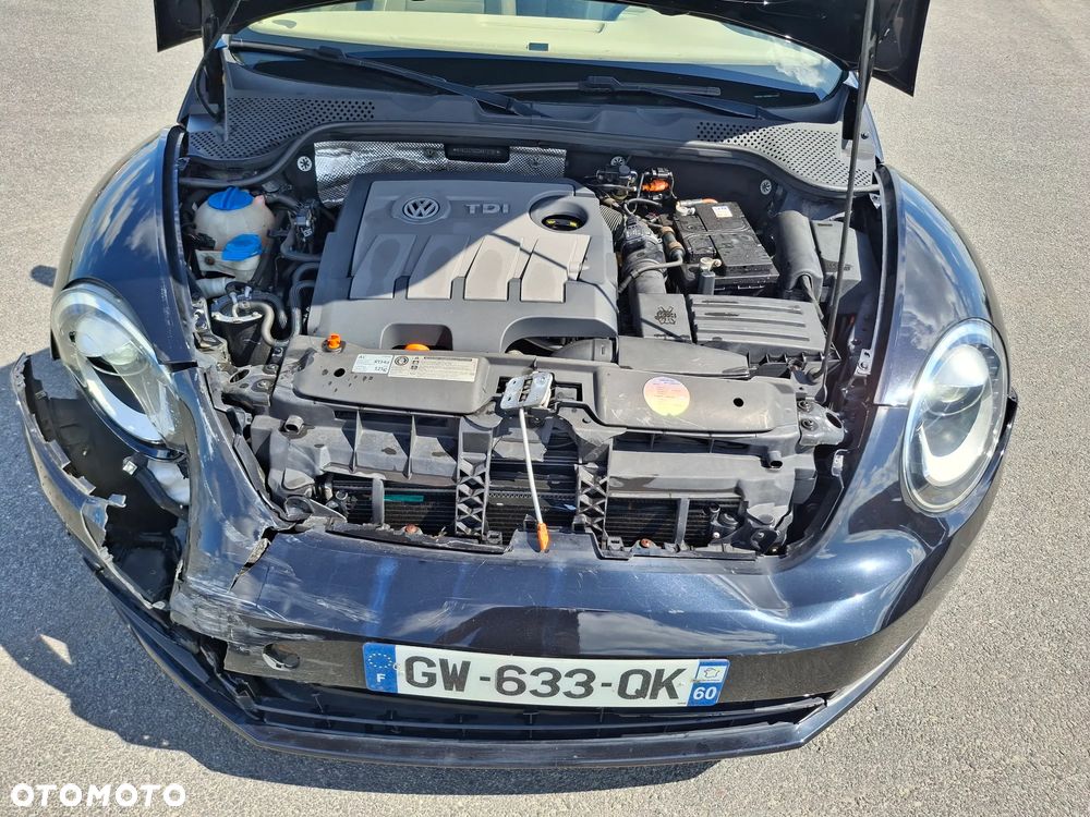Volkswagen Beetle - 9