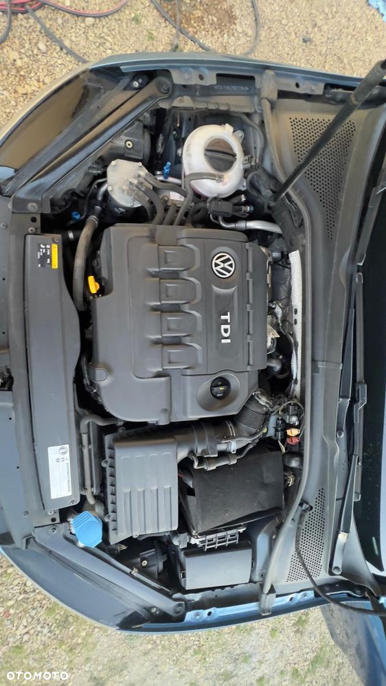 Volkswagen Golf - 25
