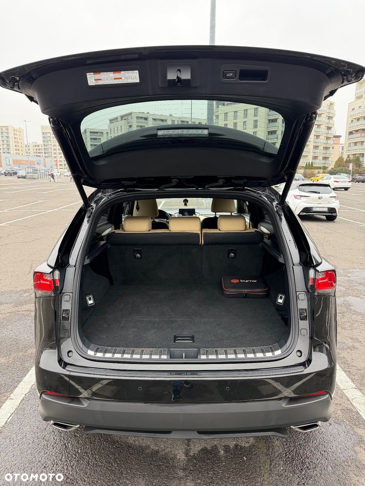 Lexus NX 200t AWD F Sport - 19