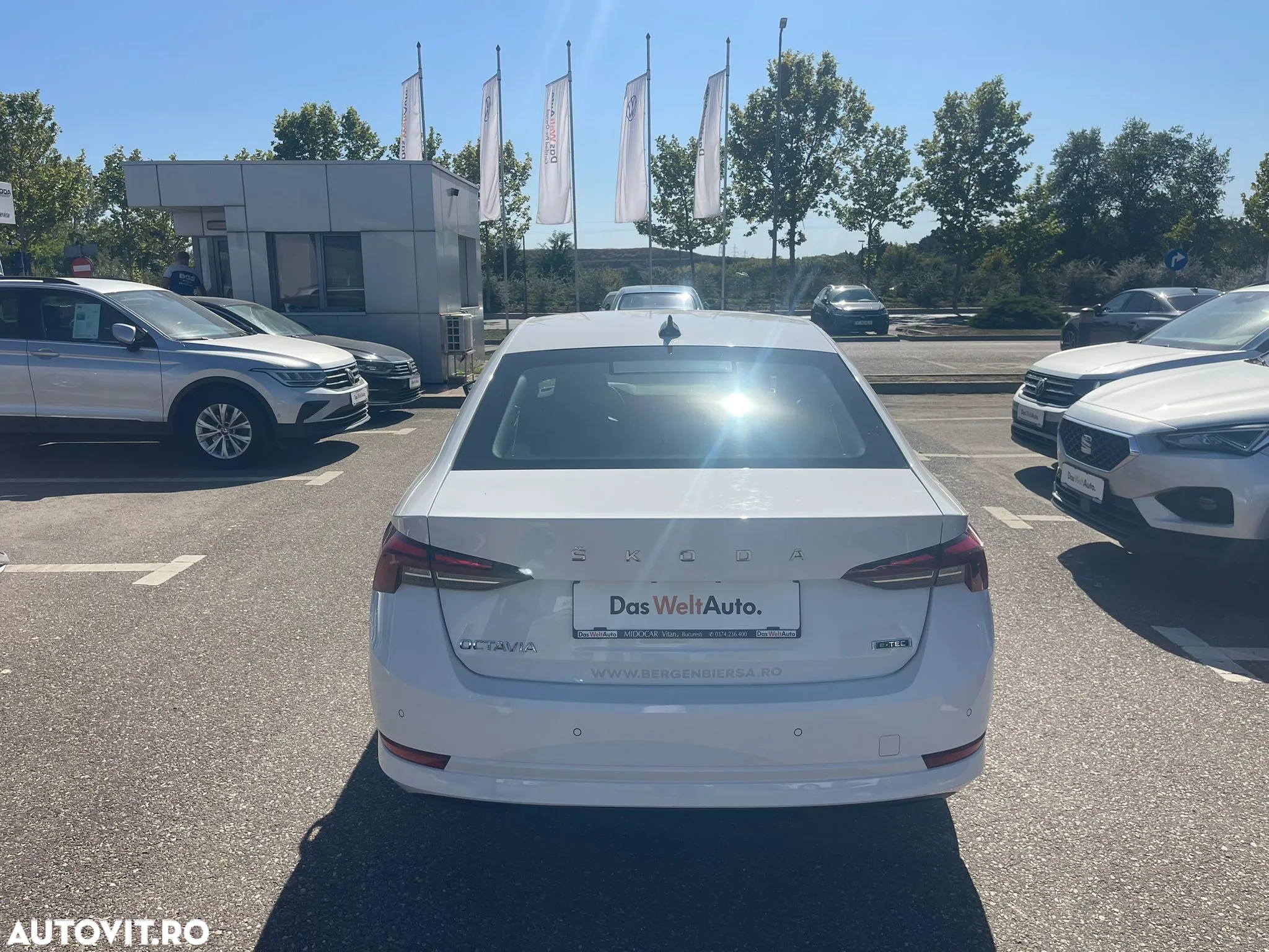 Skoda Octavia 1.0 TSI DSG Mild Hybrid Ambition - 5
