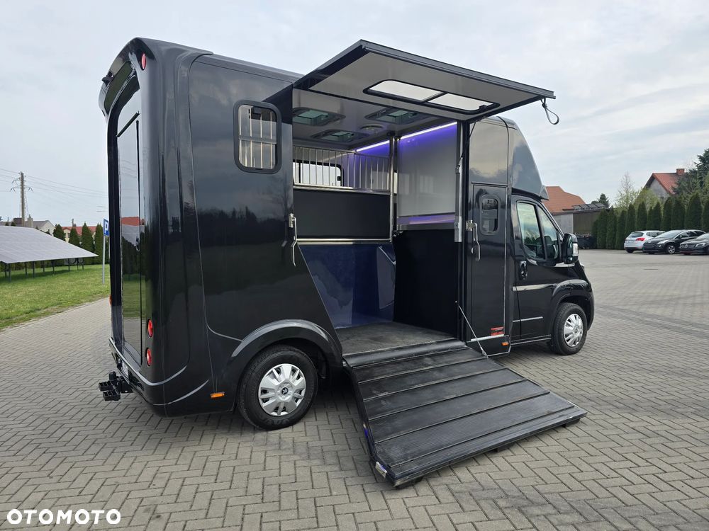 Peugeot Boxer-Koniowóz - 10