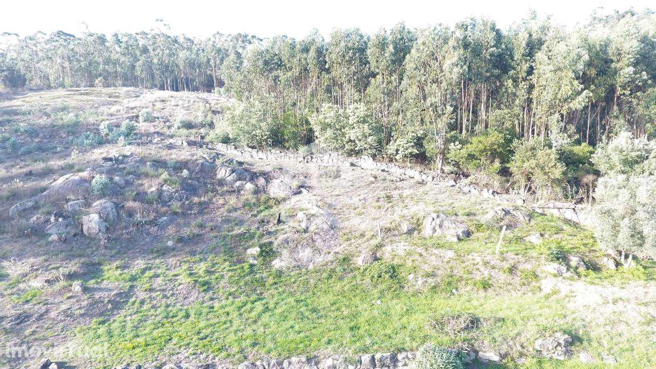 Terreno com zona de construção, Baltar, Paredes - Grande imagem: 5/15