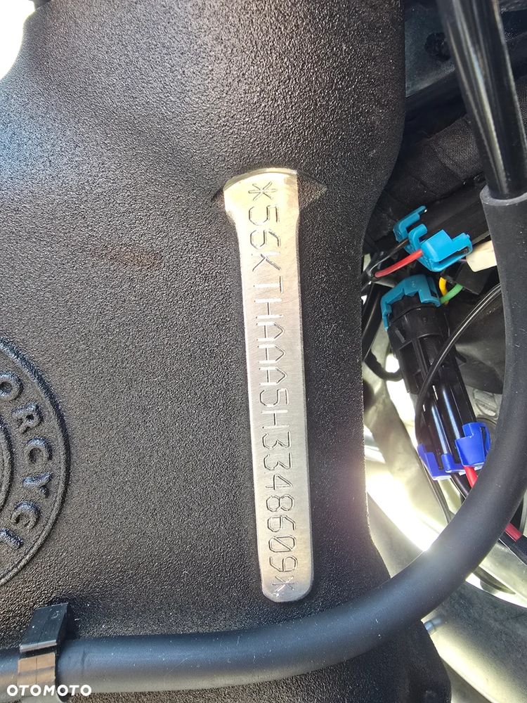 Indian Springfield - 3