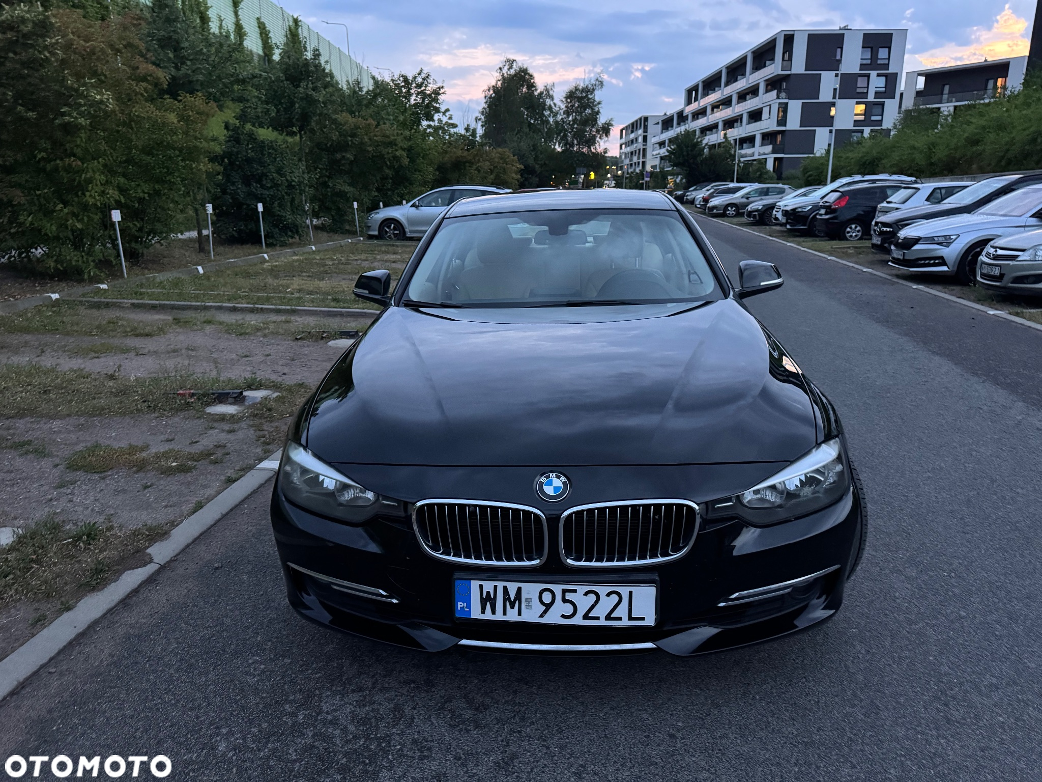 BMW Seria 3 320i Luxury Line - 3