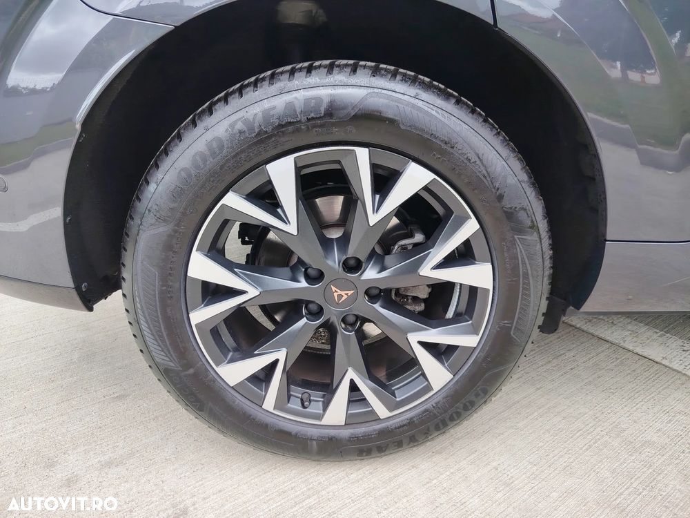 Cupra Terramar 1.5 eTSI DSG Tribe Edition - 6