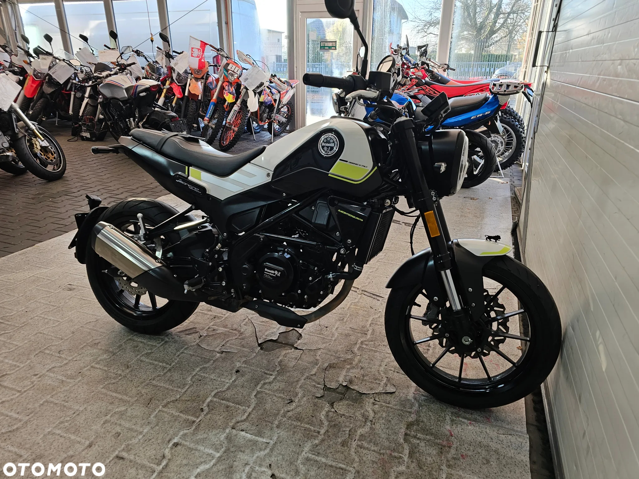 Benelli Leoncino - 24