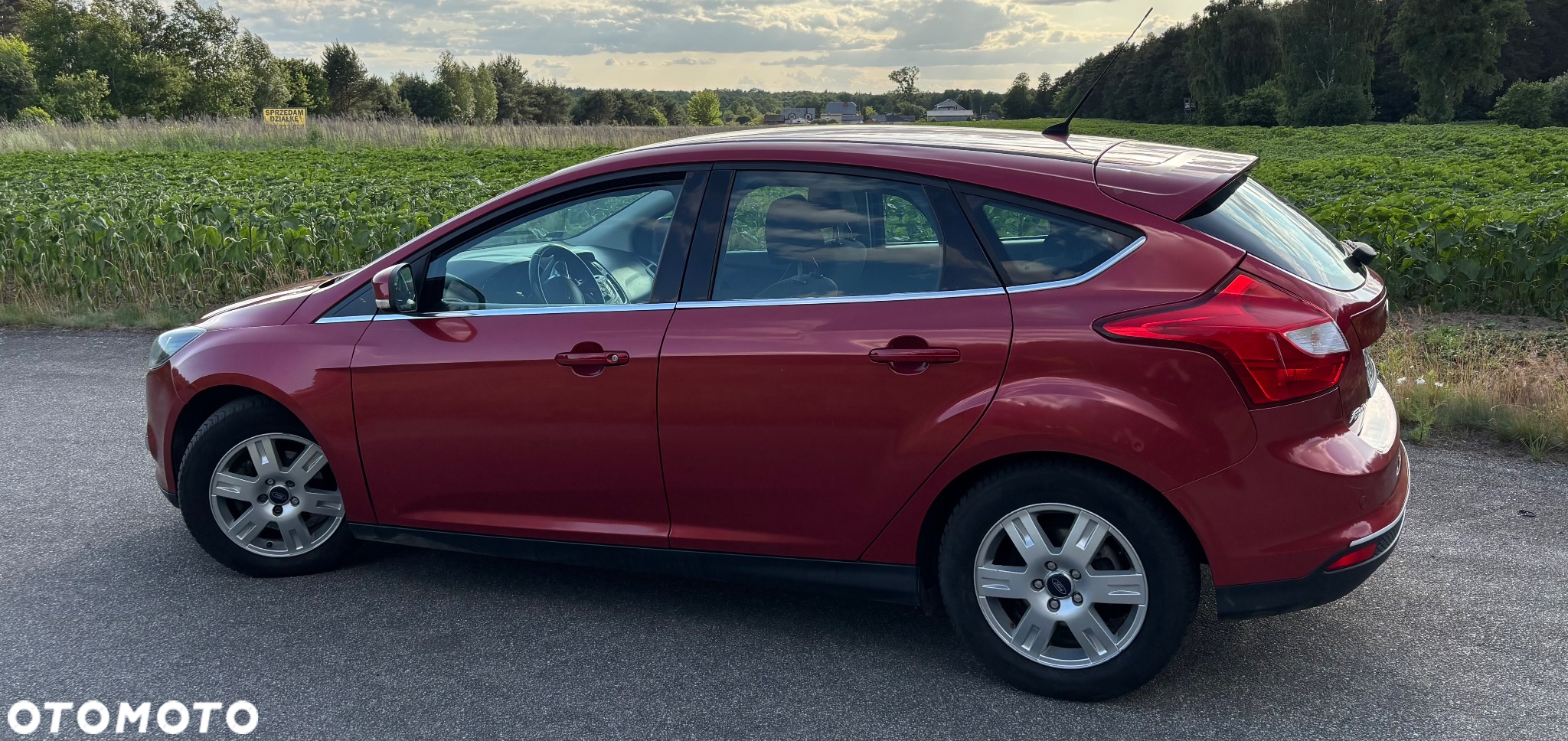Ford Focus - 5