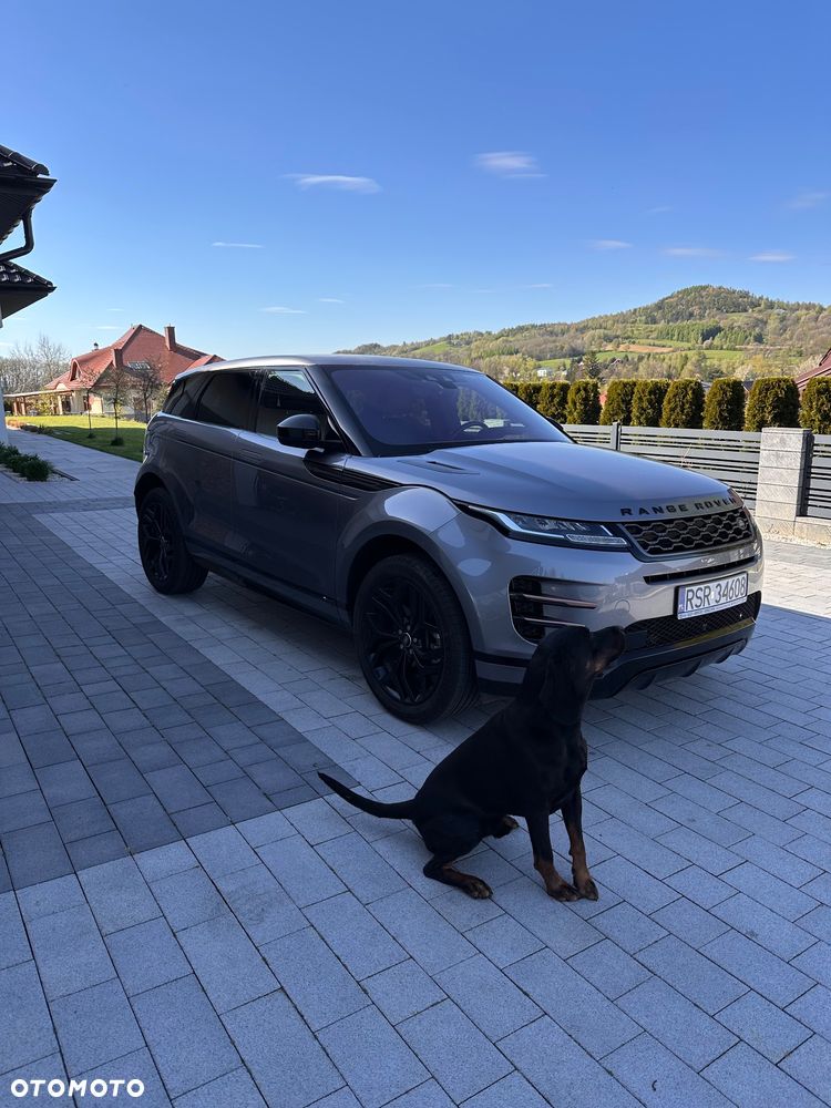 Land Rover Range Rover Evoque 2.0 P300 mHEV R-Dynamic SE - 8