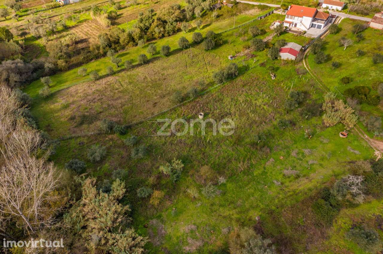 Terrenos Rústicos | Pelariga, Pombal - Grande imagem: 3/36