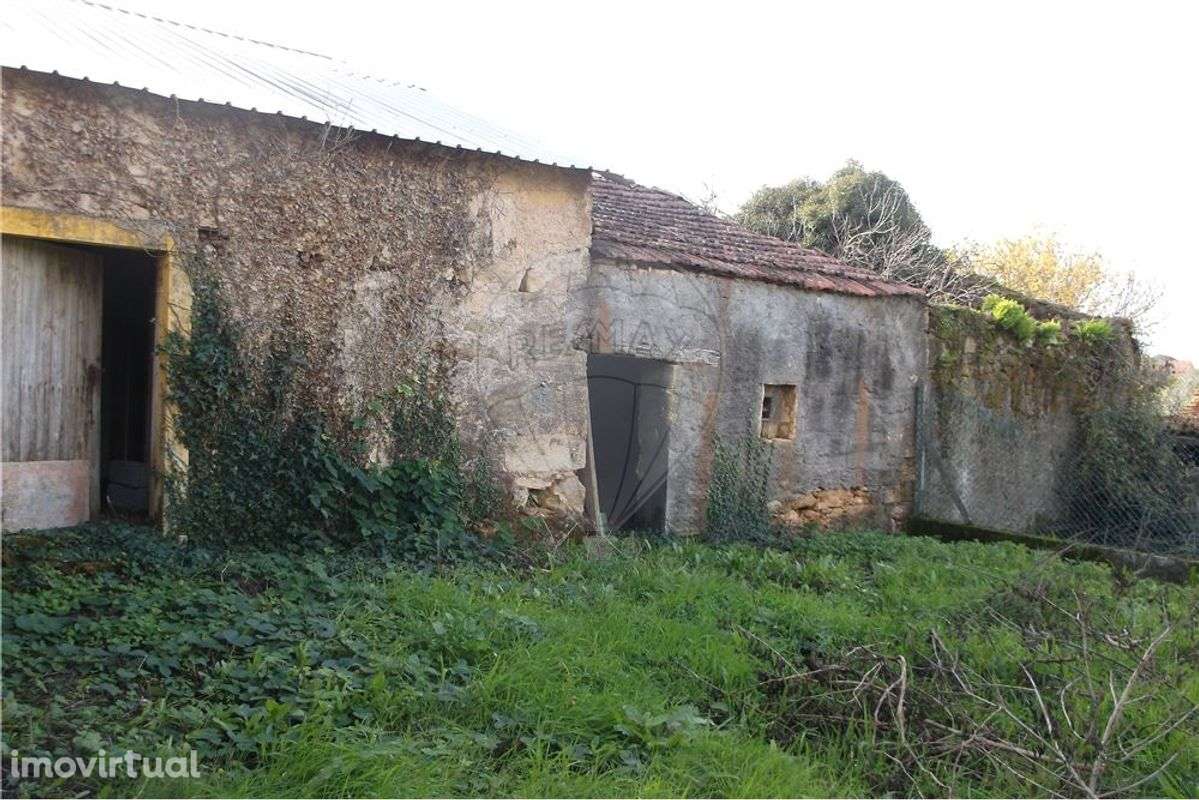 Moradia para recuperação - Grande imagem: 3/15