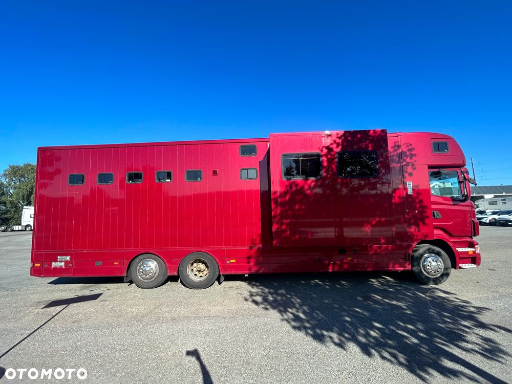 Scania R340 Koniowóz POP OUT - 4